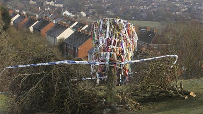 Britain Holy Tree